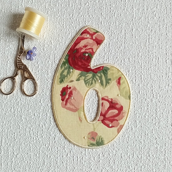 Aplikace Číslo 6  JEDINÝ KUS